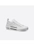[DIOR] B23 Low Top Sneaker 3SN249YNT_H060