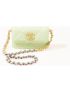 [CHANEL] Clutch With Chain AP2450B04852NG118
