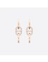 [DIOR] Color Dior Earrings JCCD94008_0000