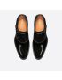 [DIOR] Timeless Monk Shoe 3DE348YON_H969