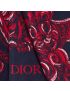 [DIOR] AND KENNY SCHARF Blanket 21Z0005A0616_C583