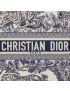 [DIOR] Large Dior Book Tote M1286ZTDT_M808