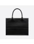 [DIOR] Medium Dior Book Tote M1296ZGSB_M900