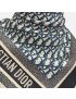 [DIOR] Dior Oblique Diortwin 70 Square Scarf 15DOB070I600_C541