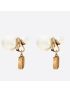 [DIOR] Tribales Clip Earrings E2073WOMRS_D908