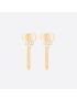 [DIOR] Petit CD Earrings E1746PTCCY_D301