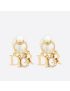 [DIOR] Tribales Earrings E1411TRICY_D301
