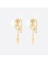[DIOR] Tribales Earrings E1736TRIRS_D301