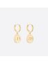 [DIOR] Petit CD Earrings E1648PTCMT_D300