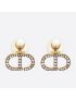 [DIOR] Tribales Earrings E1293TRICY_D908