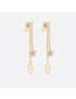 [DIOR] Tribales Earrings E1270TRICY_D301
