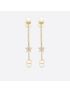 [DIOR] Tribales Earrings E1270TRICY_D301