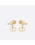 [DIOR] Clair D Lune Earrings E1099CDLCY_D301