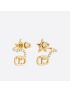 [DIOR] Clair D Lune Earrings E1099CDLCY_D301