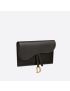 [DIOR] Long Saddle Wallet with Chain S5614CBAA_M900