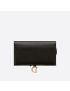 [DIOR] Long Saddle Wallet with Chain S5614CBAA_M900