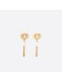 [DIOR] Tribales Earrings E1724TRIRS_D301