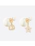 [DIOR] Tribales Earrings E1038TRICY_D03S