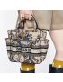 [DIOR] Small Catherine Tote Bag M1316ZRWD_M918