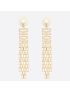 [DIOR] Tribales Earrings E1817TRICY_D301