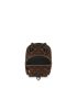 [LOUIS VUITTON] Palm Springs Mini Backpack M44873