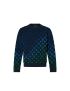 [LOUIS VUITTON] Gradient Monogram Fil Coupe Sweatshirt 1A9GLF