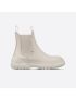 [DIOR] D Racer Ankle Boot KCI780VEA_S03W