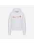 [DIOR] Oversized CACTUS JACK DIOR Hooded Sweatshirt 283J678C0531_C083