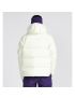 [DIOR] AND DESCENTE Hooded Down Jacket 213C446B5093_C084