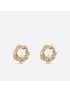 [DIOR] Tribales Earrings E2086WOMRS_D301