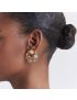 [DIOR] Rose Des Vents Earrings JRDV94041_0000