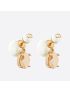 [DIOR] Tribales Earrings E1893TRICY_D01L